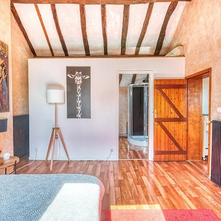 Apartment Sous Les Toits Vue Loire *