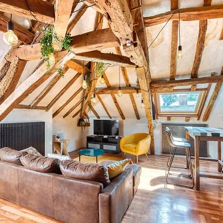 Sous Les Toits Vue Loire Apartment *