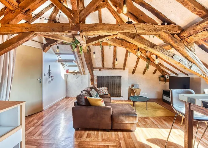 Sous Les Toits Vue Loire * Bouchemaine