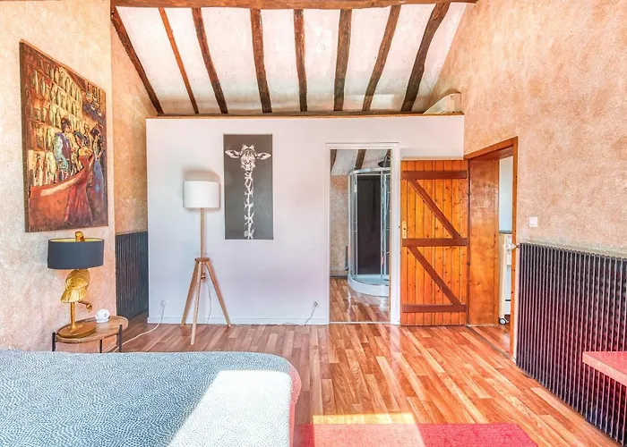 Apartment Sous Les Toits Vue Loire *